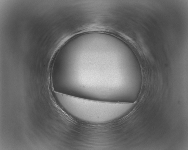 X0000052591415200507010927