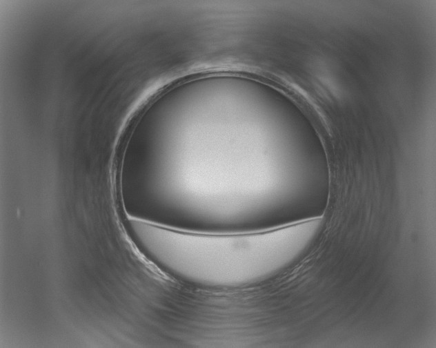 X0000052591416200507010927