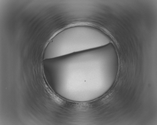 X0000052591417200507010928