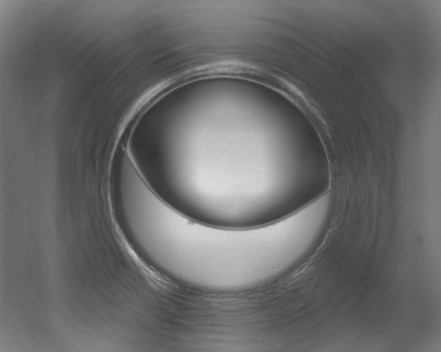 X0000052591418200507010928