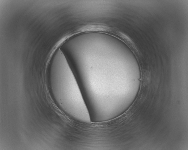 X0000052591419200507010928