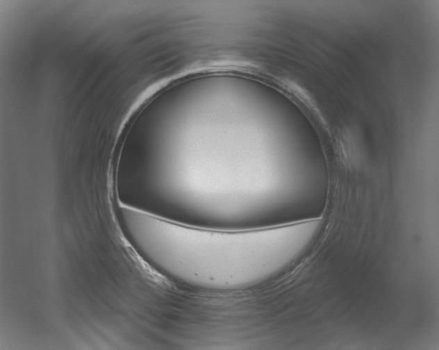 X0000052591420200507010928
