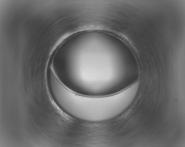X0000052591422200507010928