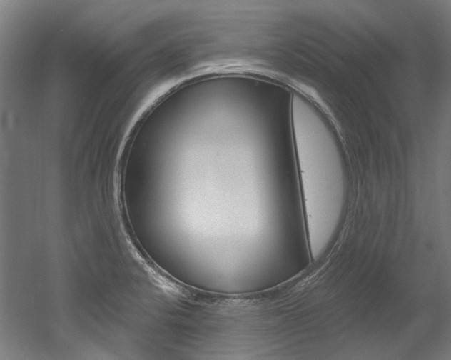 X0000052591424200507010928