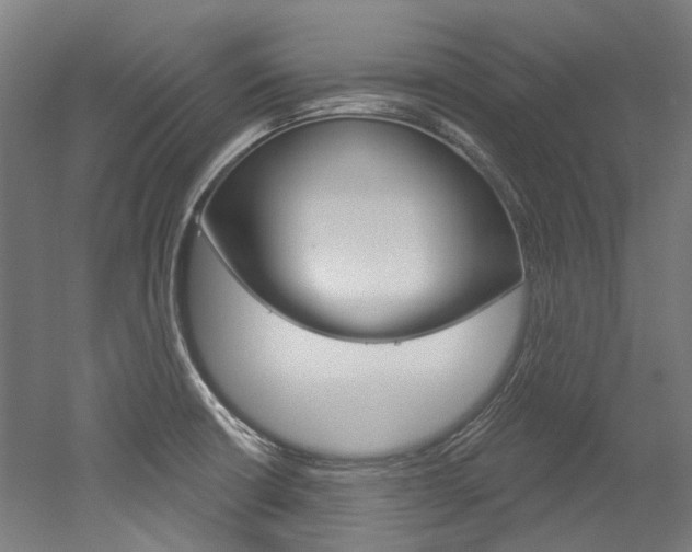 X0000052591426200507010928