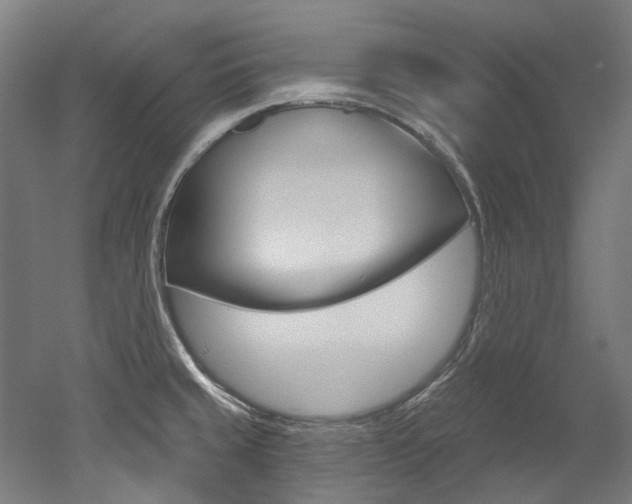 X0000052591429200507010928