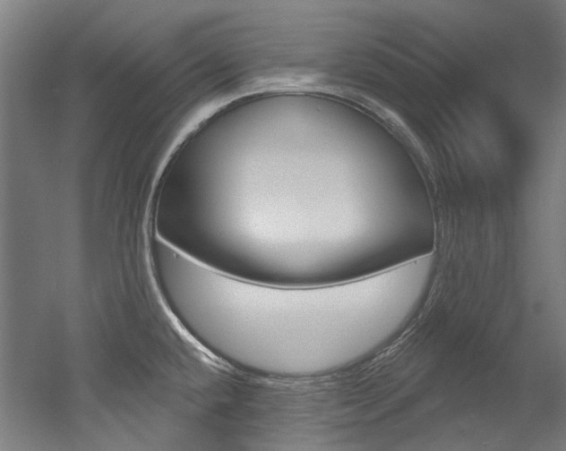 X0000052591432200507010928