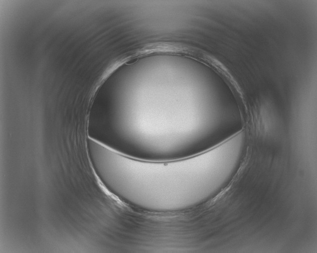 X0000052591433200507010928