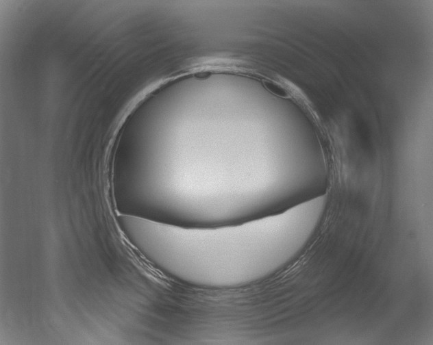 X0000052591435200507010928