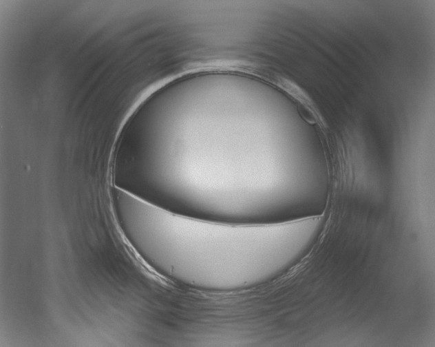 X0000052591436200507010928