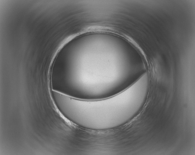 X0000052591437200507010928