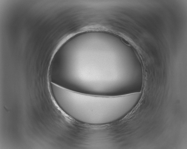 X0000052591440200507010928