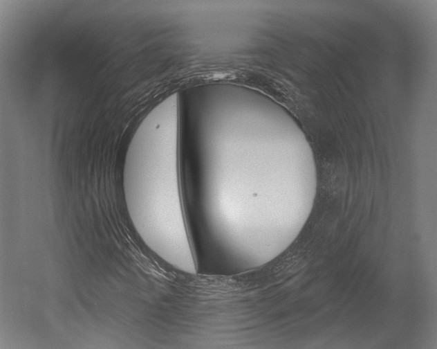 X0000052591442200507010927