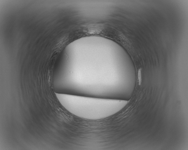 X0000052591443200507010927