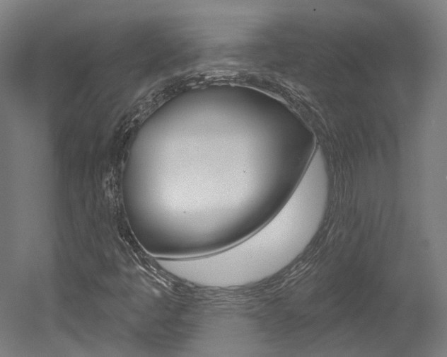 X0000052591445200507010927