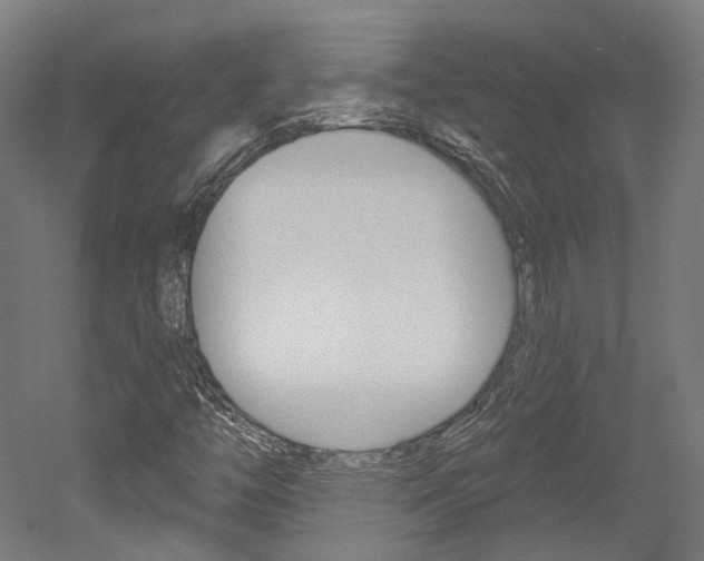 X0000052591446200507010927