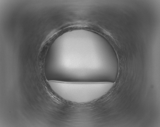 X0000052591448200507010927