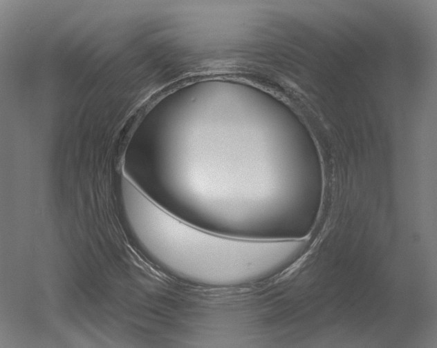 X0000052591449200507010927