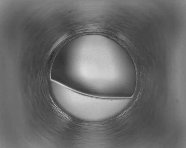 X0000052591450200507010927