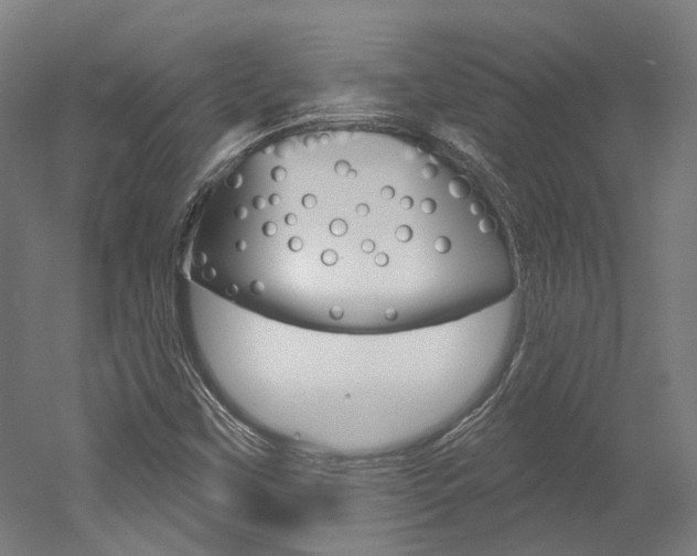 X0000052591451200507010927