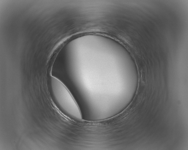 X0000052591452200507010927
