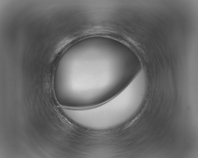 X0000052591453200507010927