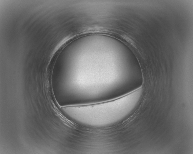 X0000052591458200507010927