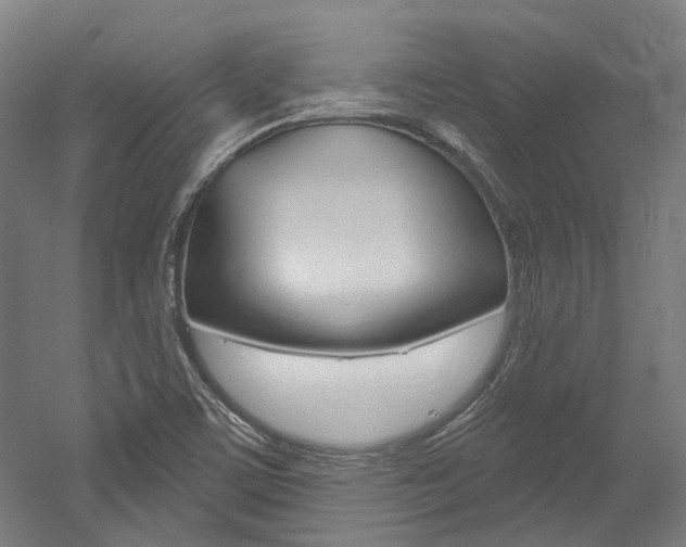 X0000052591459200507010927