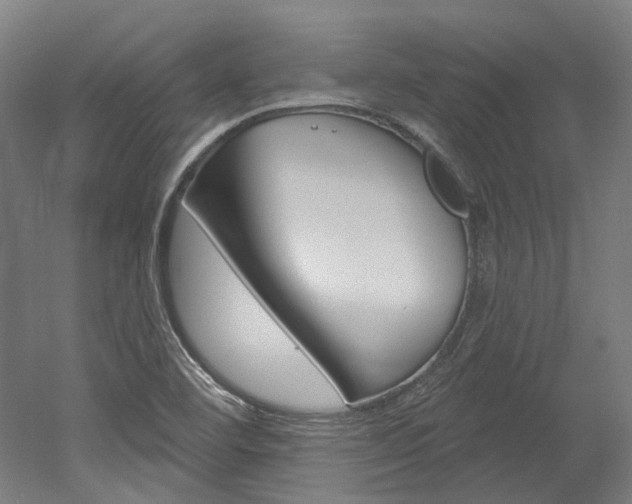 X0000052591460200507010927