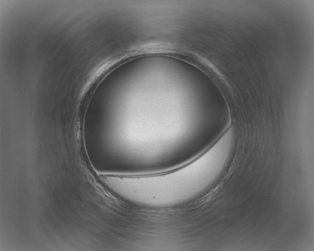 X0000052591461200507010927