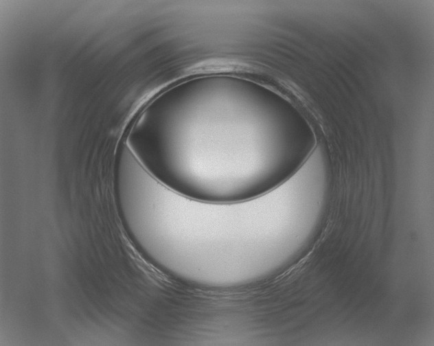 X0000052591465200507010927