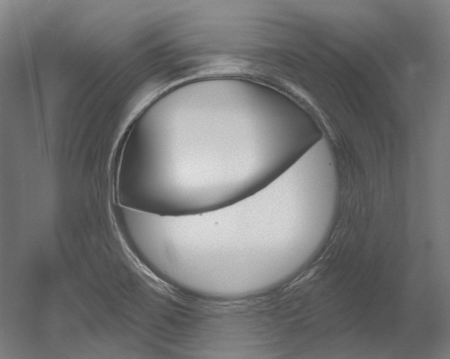 X0000052591467200507010927