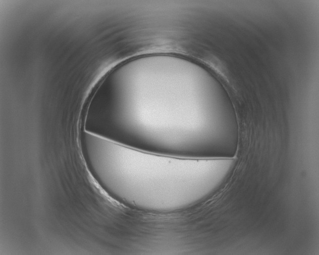 X0000052591468200507010927
