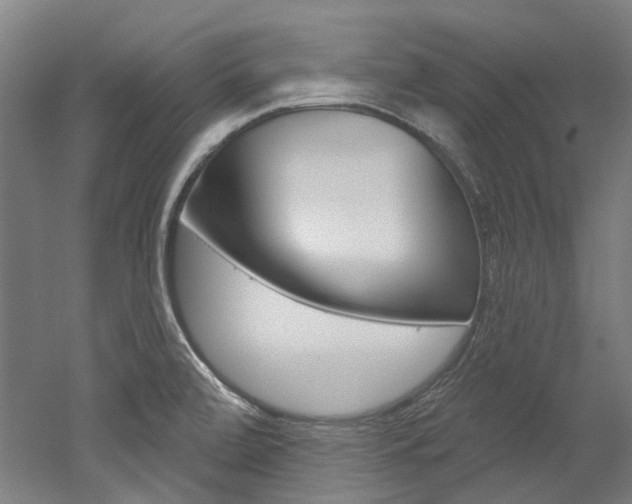 X0000052591472200507010927