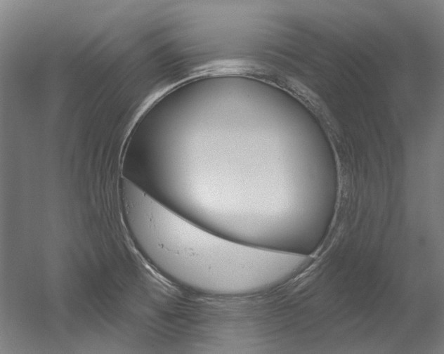 X0000052591473200507010927