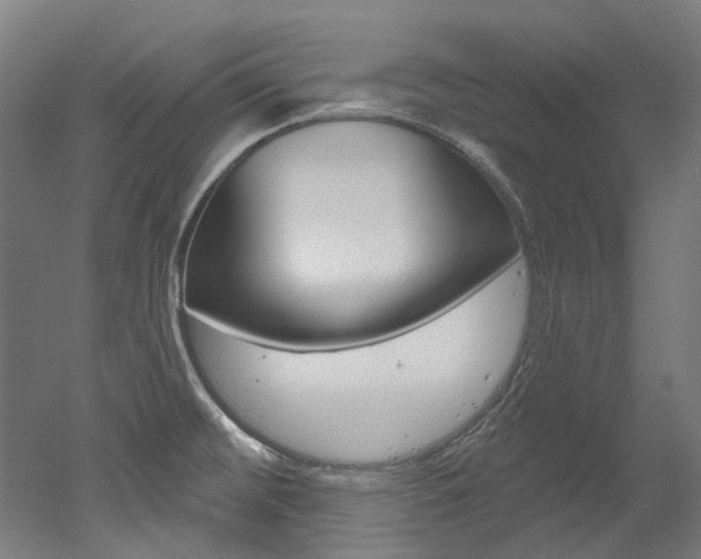 X0000052591476200507010926