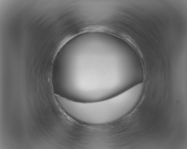 X0000052591481200507010926