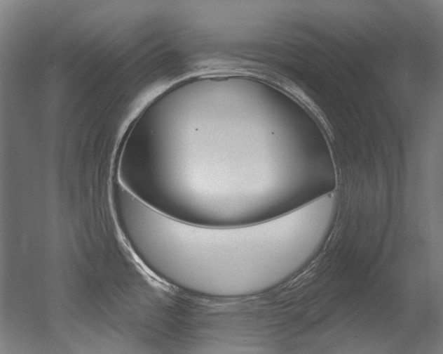 X0000052591485200507010926