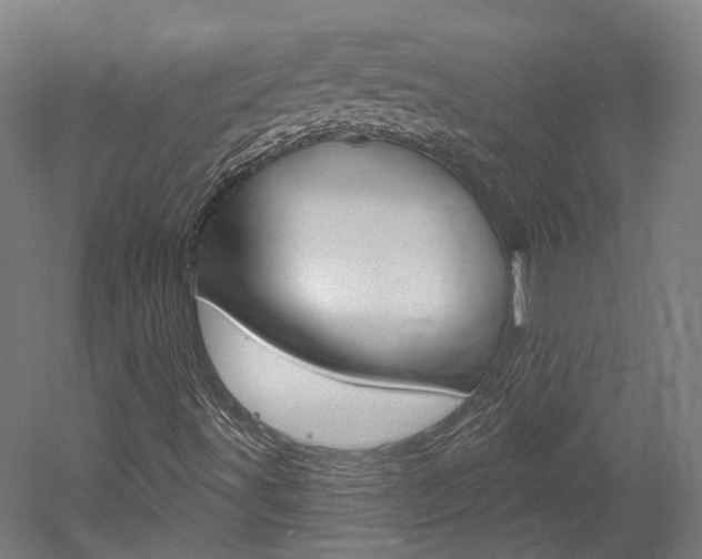 X0000052591491200507010926