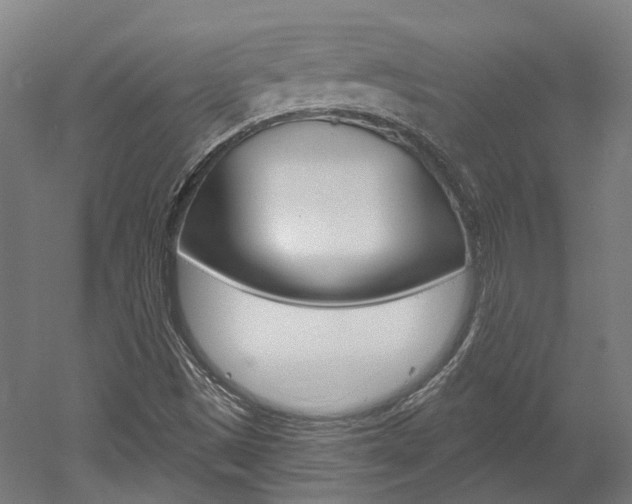 X0000052591497200507010926
