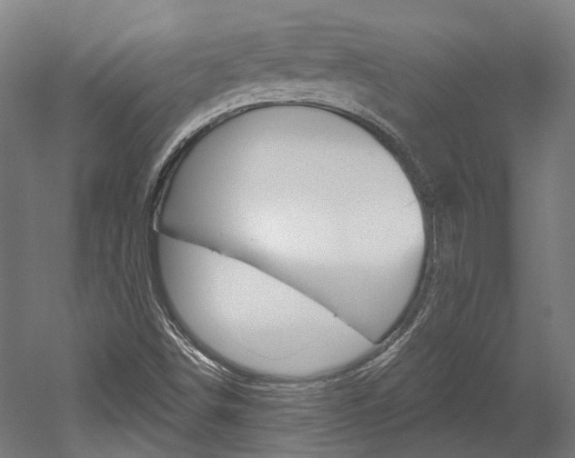 X0000052591498200507010926