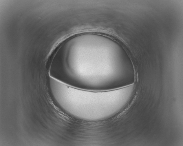 X0000052591501200507010926