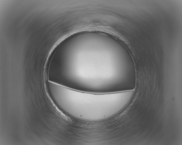 X0000052591517200507010926