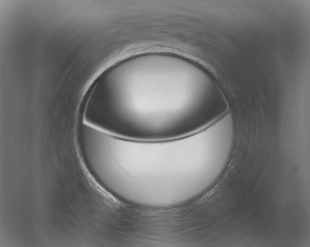X0000052591518200507010926