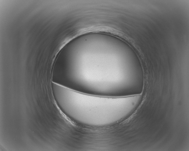 X0000052591521200507010926