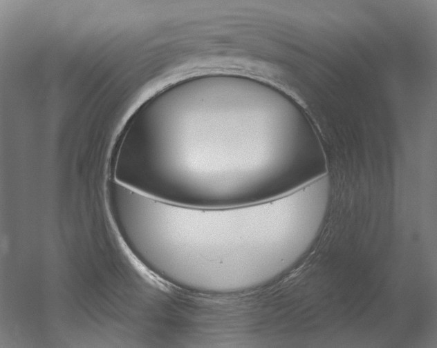 X0000052591523200507010926