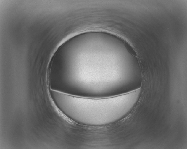 X0000052591526200507010926