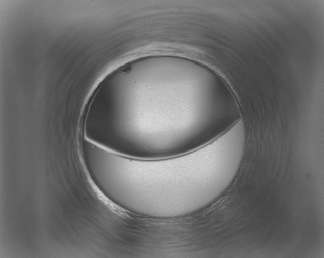 X0000052591531200507010926