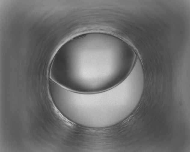 X0000052591532200507010926