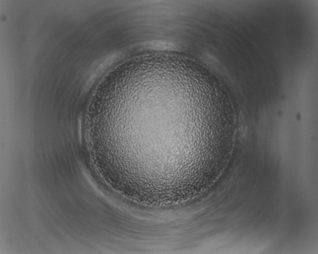 X0000052590014200507011323